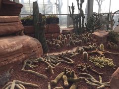 -南通洲际绿博园