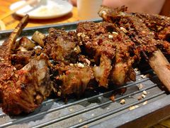 -福苗小骆驼烧烤(莲湖路店)