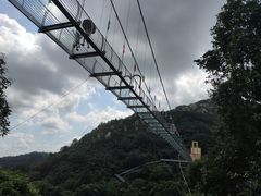 -木兰云雾山