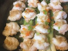 铁板葱焖虾-树下时尚餐厅(翠园街店)