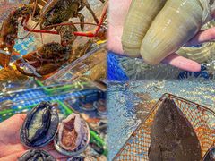 -驻海渔市(置信店)