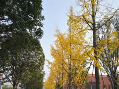 -西南民族大学南区(双流校区)