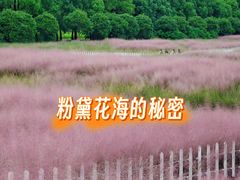 -嘉北郊野公园