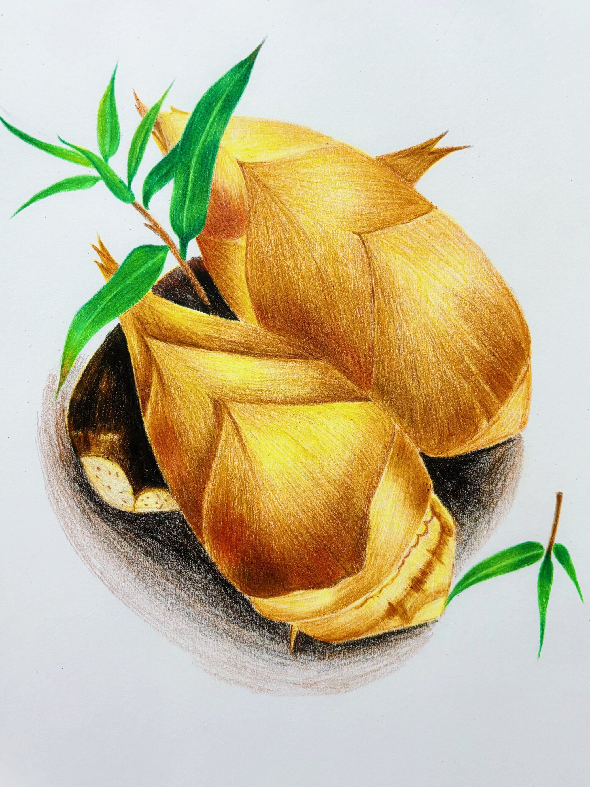 我的随手画!新鲜的竹笋有人想吃吗?附彩铅教程