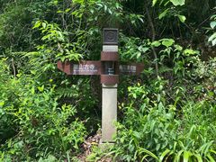 -潜山国家森林公园