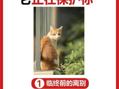 -瑞派福兴宠物医院犬猫全科·骨科·中西医结合(河东店)