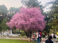 -陕西师范大学(雁塔校区)