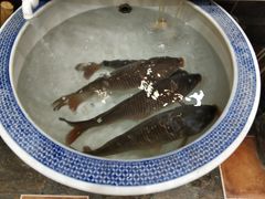 -大地烙馍村(商城路店)