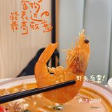 广州探店｜小餐小时光的宝蓝色米泰芒谁不爱‼️