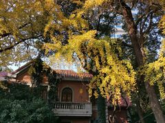 -老洋房花园饭店(绍兴路店)