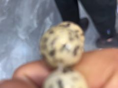 -老乌家特色小炒泡馍(大皮院店)