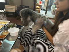 -姐夫家·沈阳黏糊麻辣拌·拌鸡架·冷面(南头古城店)