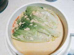 -点都德·毕德寮