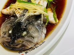 清蒸鲜鲈鱼-有藕有鱼·湖北菜(唐家墩店)