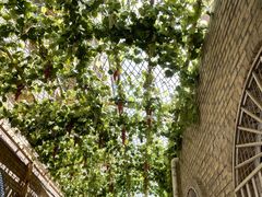 -新疆国际大巴扎