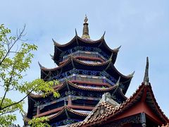 -铁山坪森林公园