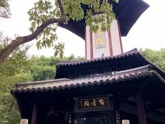 -上海佘山国家森林公园天马山园