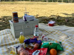 -风云岭森林公园