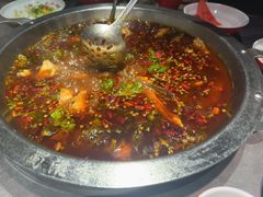 -蜀滋香鲜鱼美蛙火锅(339店)