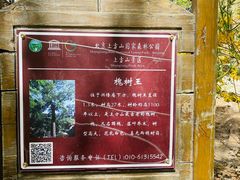 -北京上方山国家森林公园