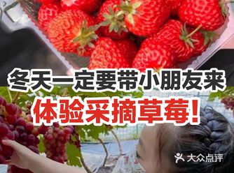 冬天一定要带小朋友来体验采摘草莓！