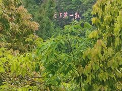 -重庆云阳龙缸景区