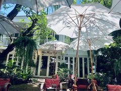 -Fern Forest Cafe