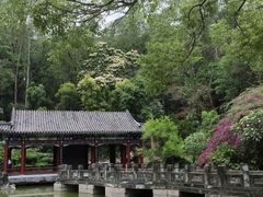 -深圳国际园林花卉博览园