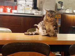 -25#COFFEE(古地石店)
