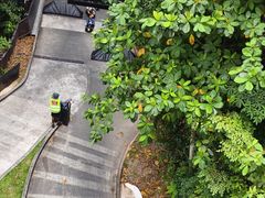 -圣淘沙天际线斜坡滑车
