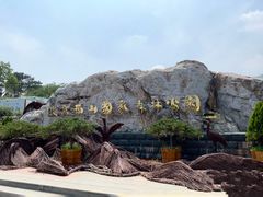 -北京西山国家森林公园