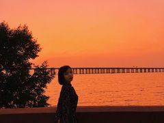 -宝安西湾红树林湿地公园