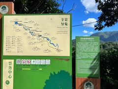 -莫里热带雨林景区
