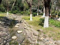 -苏州河梦清园环保主题公园