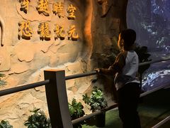 -中国西峡恐龙遗迹园