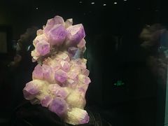 -中华赏石园