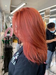 -潘多拉Hairsalon