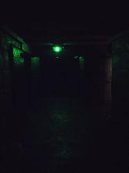 -翱翔飞越地平线