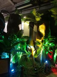 -恐龙探索乐园(磁器口店)