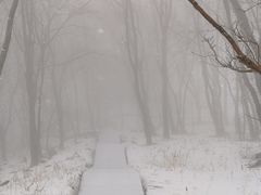 -中旅松花湖滑雪场