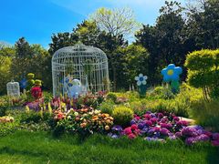 -上海共青森林公园