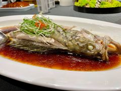 -望乡楼上海菜(日月光店)