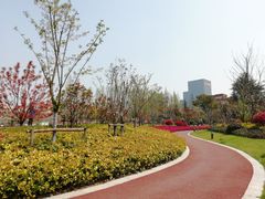 -上海财经大学(国定路校区)