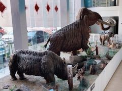 -中国第四纪冰川遗迹陈列馆