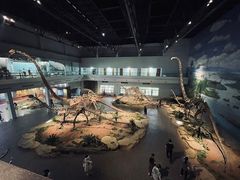 -自贡恐龙博物馆