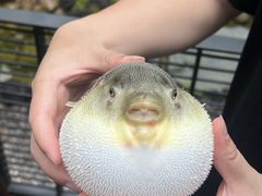 -永安鱼庄·镇江菜(东吴路店)