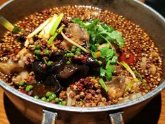 -望京一号(菜户营店)