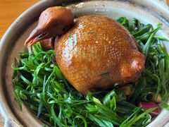 鸽吞翅-金龙·打边炉(南京西路店)