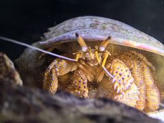 -欢乐海岸海洋奇梦馆