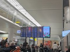 -谢列梅捷沃国际机场